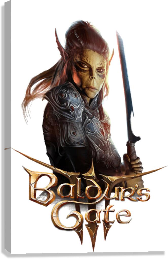 Baldurs Gate 19 Canvas Print
