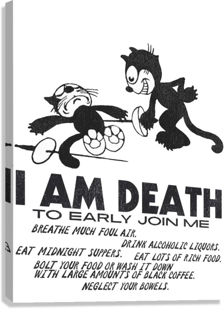 Felix the Cat 49 Canvas Print