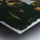Beartooth 51 Metal print