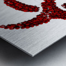 BIOHAZARD 26 Metal print