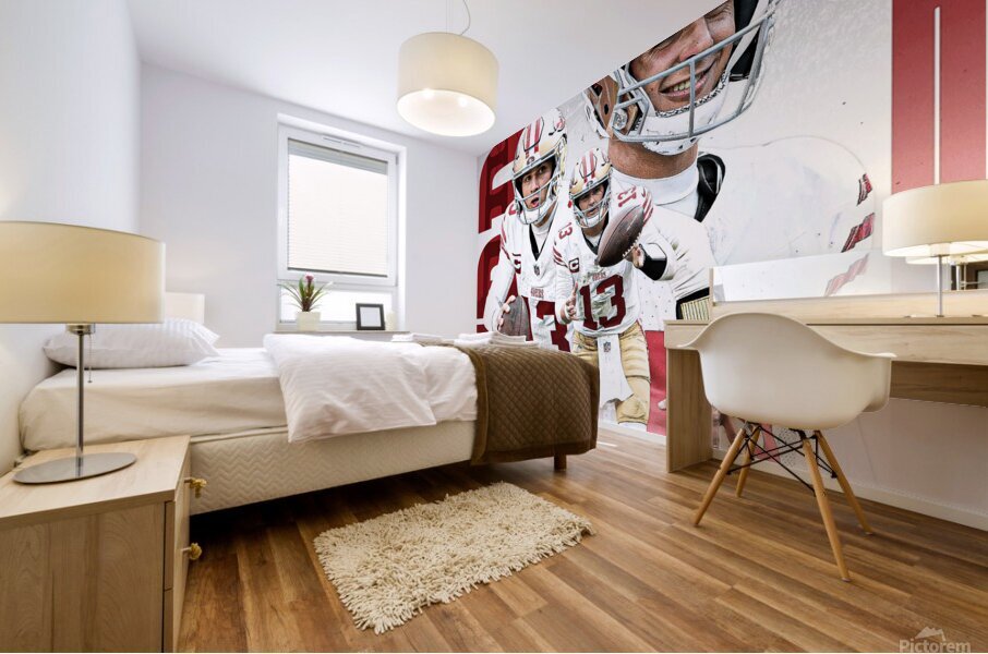 san francisco Mural print