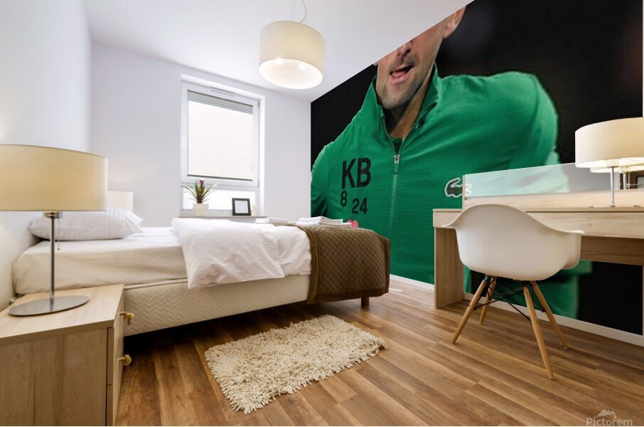 novak djokovic Mural print