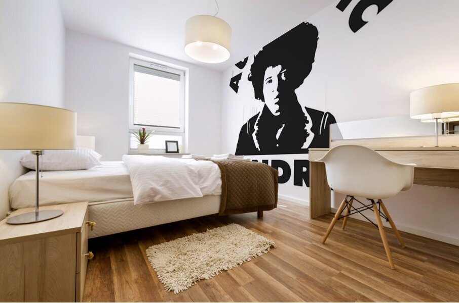 Jimi Hendrix 23 Mural print