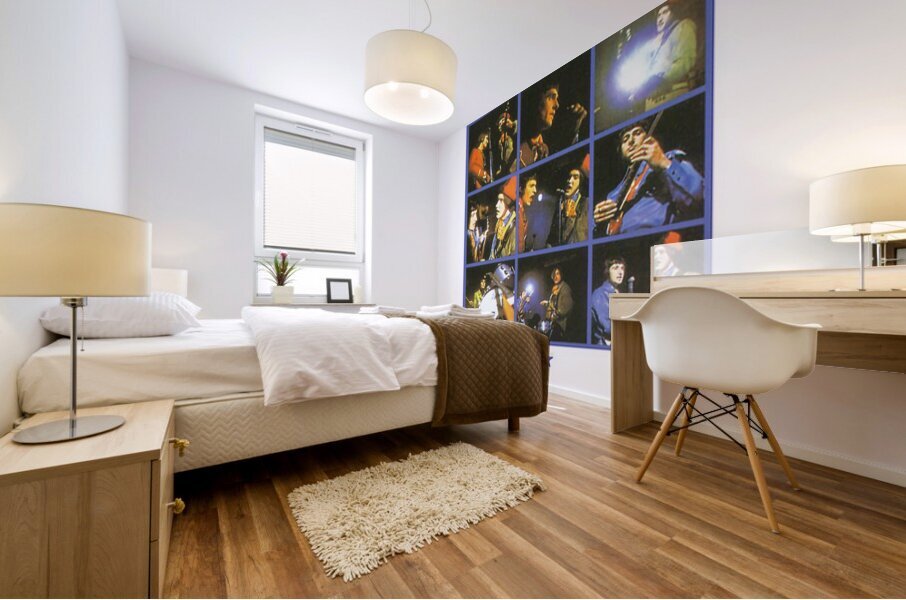 Kinks 6 Mural print
