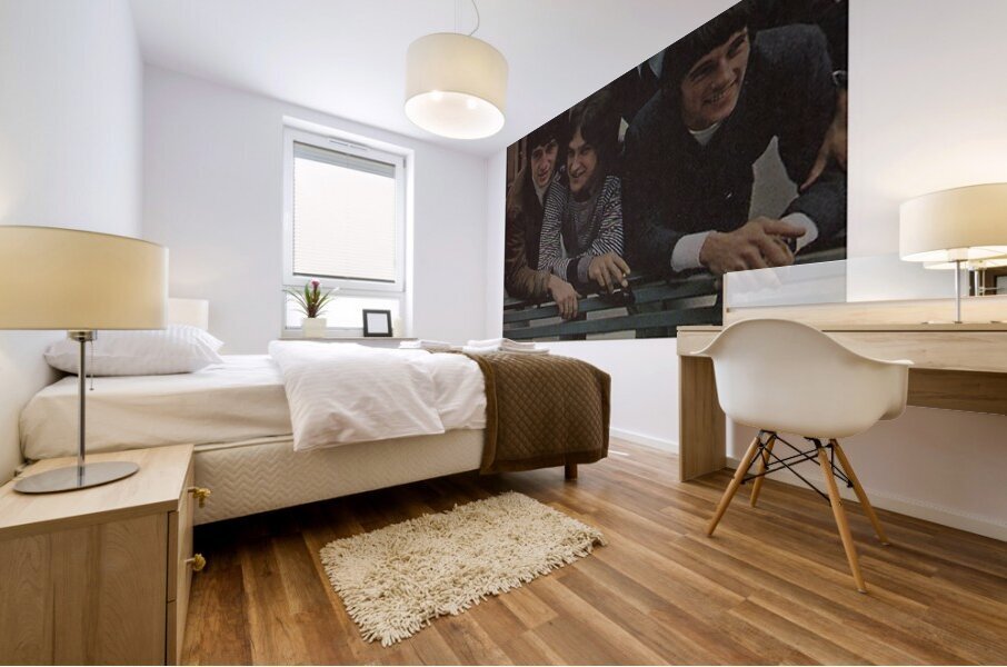 Kinks 11 Mural print