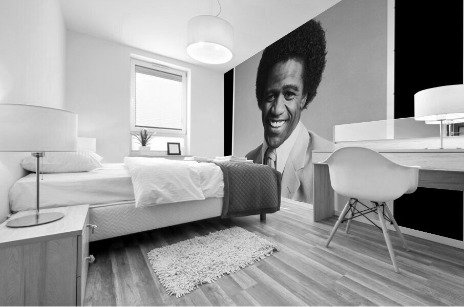 Al Green 5 Mural print