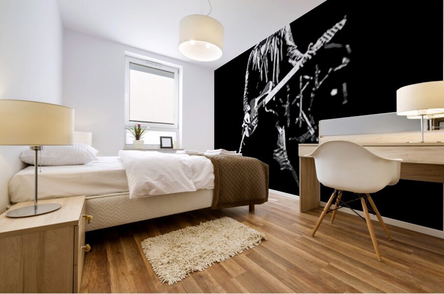 Bruce Springsteen 24 Mural print