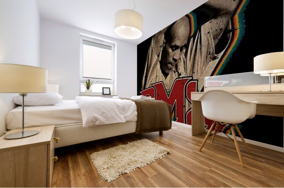 DMX 24 Mural print