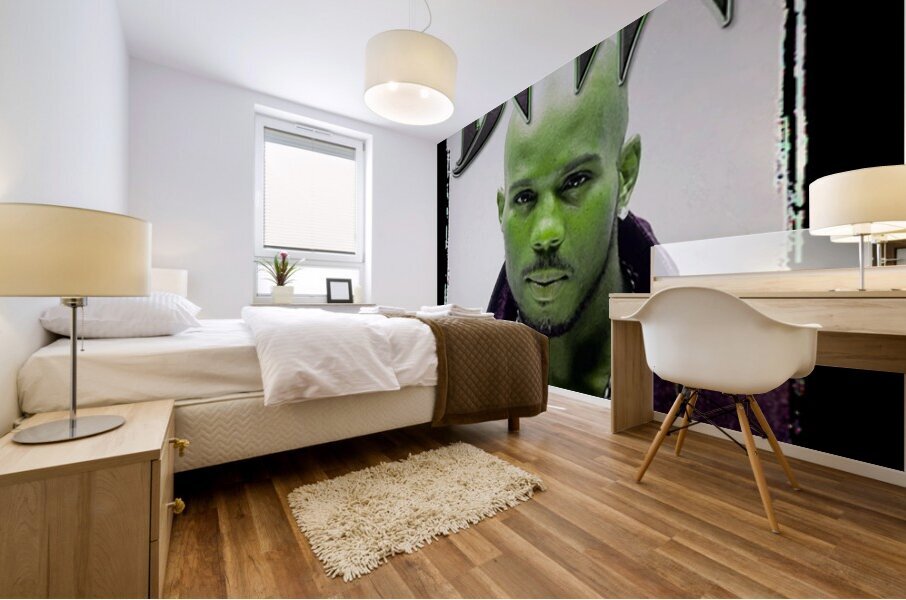 DMX 36 Mural print