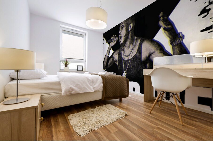 DMX 38 Mural print