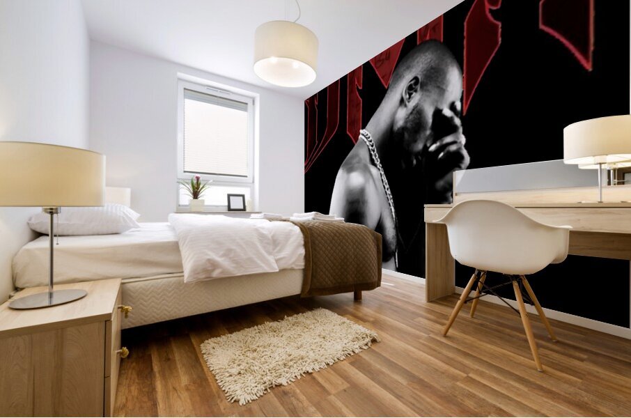 DMX 56 Mural print