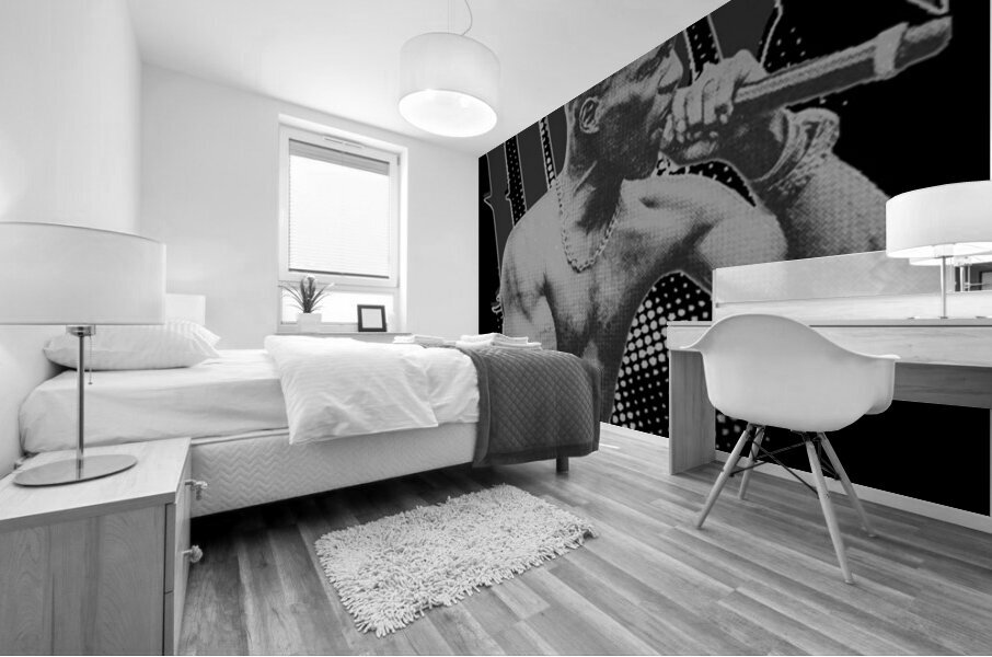 DMX 59 Mural print