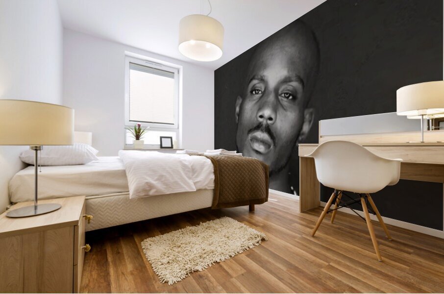 DMX 64 Mural print