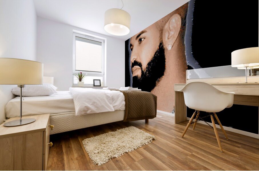 Drake 1 Mural print