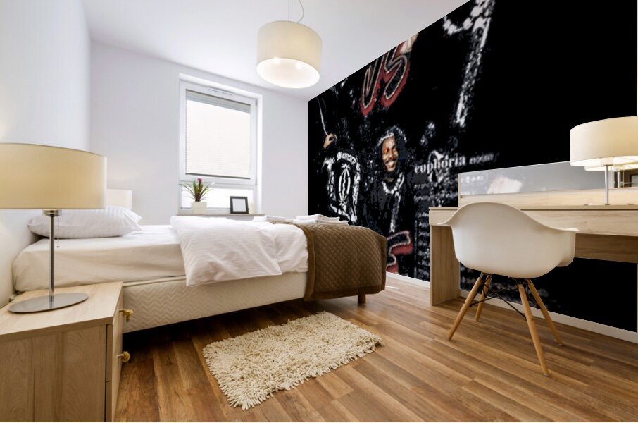 Drake 34 Mural print