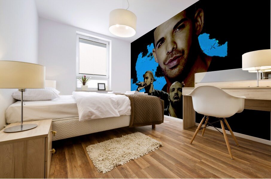 Drake 35 Mural print