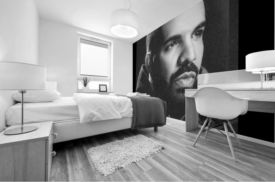 Drake 37 Mural print
