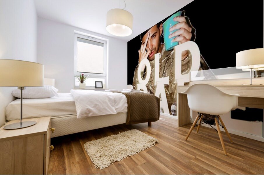 Drake 45 Mural print