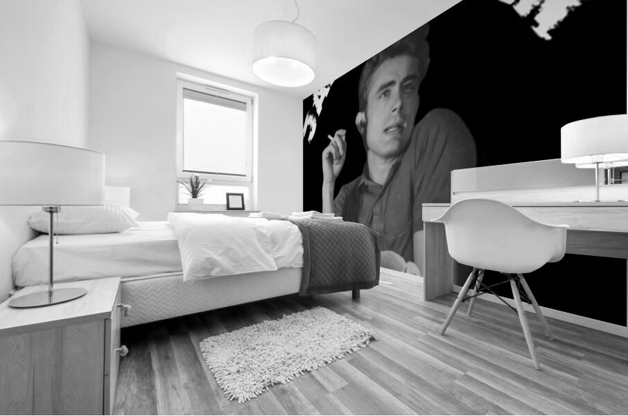 James Dean 1 Mural print
