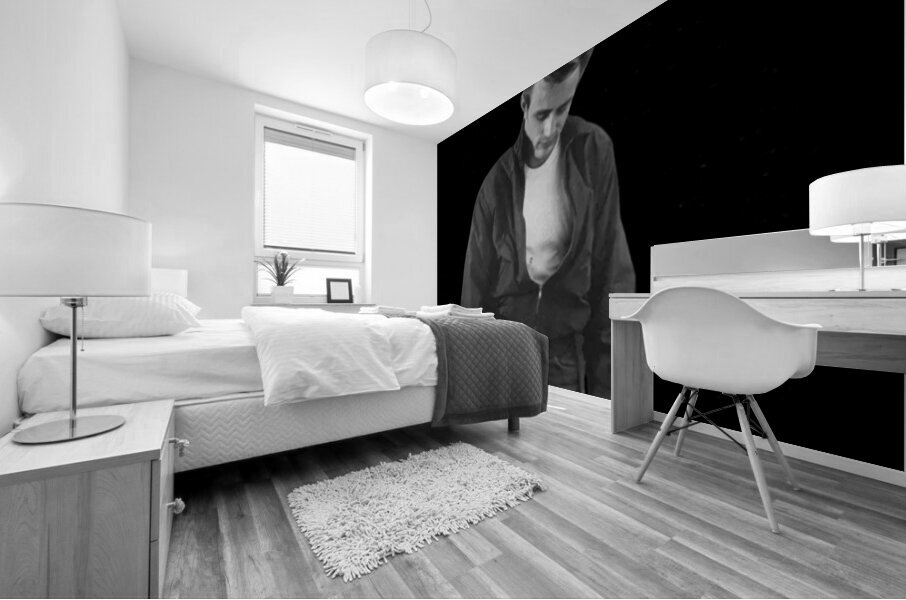 James Dean 20 Mural print
