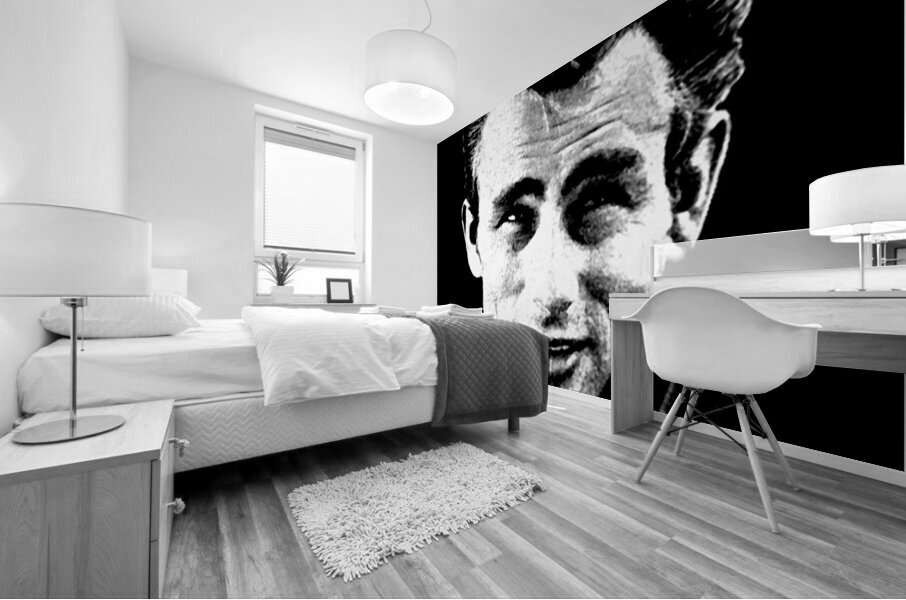 James Dean 36 Mural print