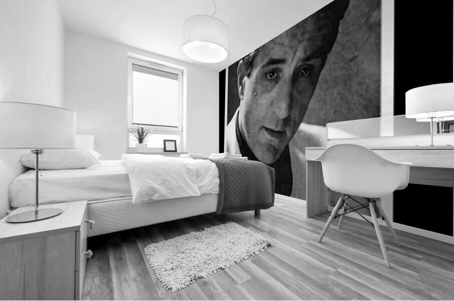 Robert De Niro 27 Mural print