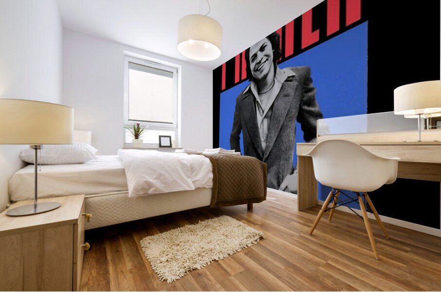 Robert Palmer 24 Mural print