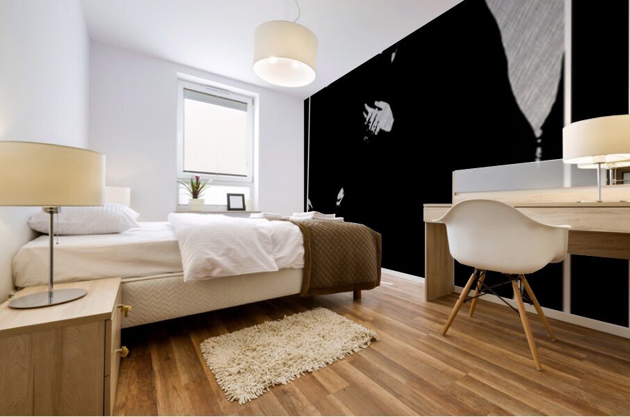 U2 20 Mural print