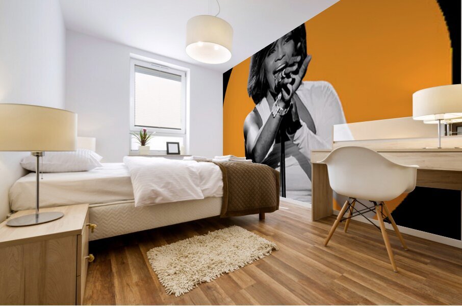 Whitney Houston 13 Mural print