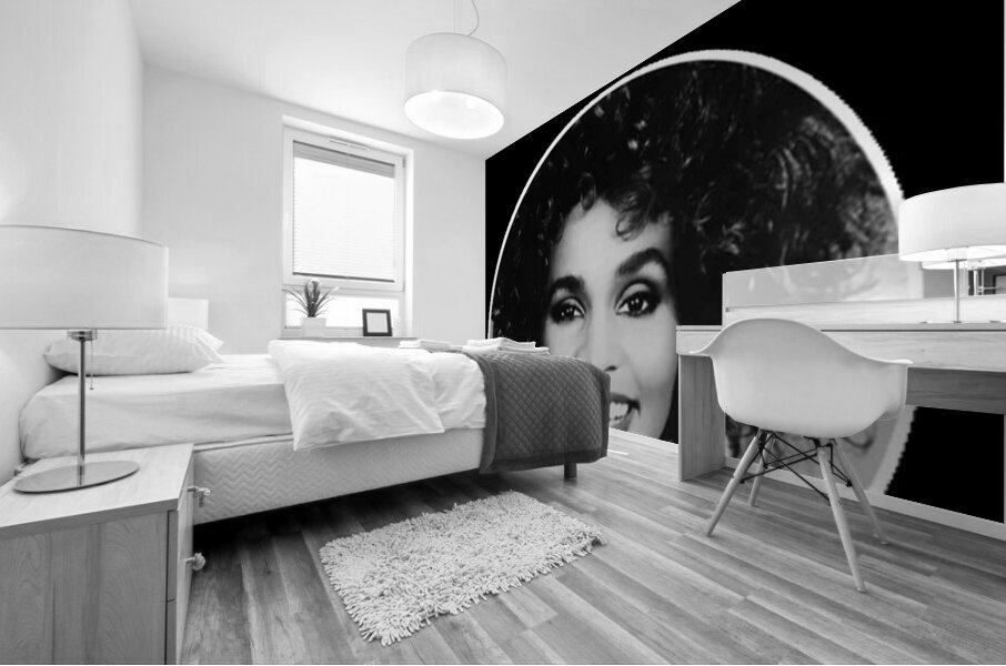 Whitney Houston 13 Mural print