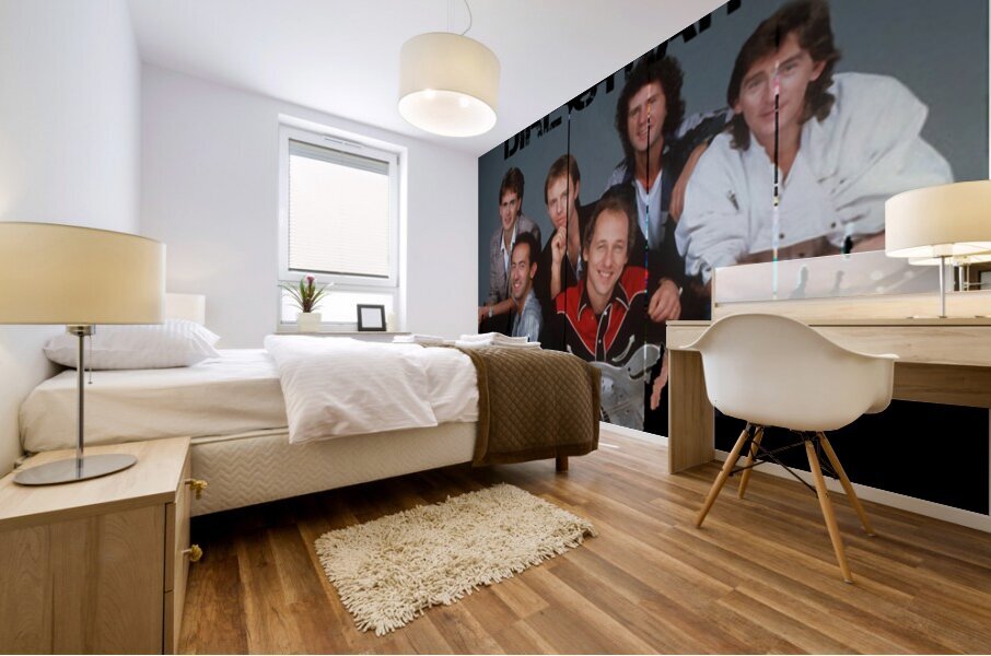 Dire Straits 15 Mural print