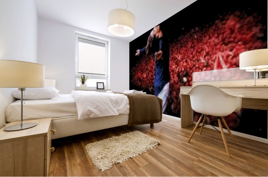 INXS 30 Mural print