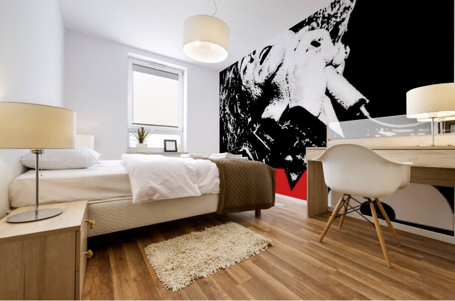 INXS 58 Mural print