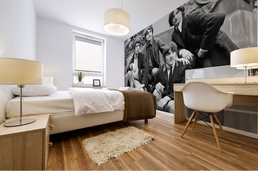 Kinks 12 Mural print