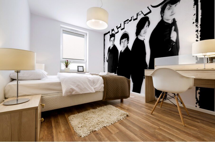 Kinks 16 Mural print
