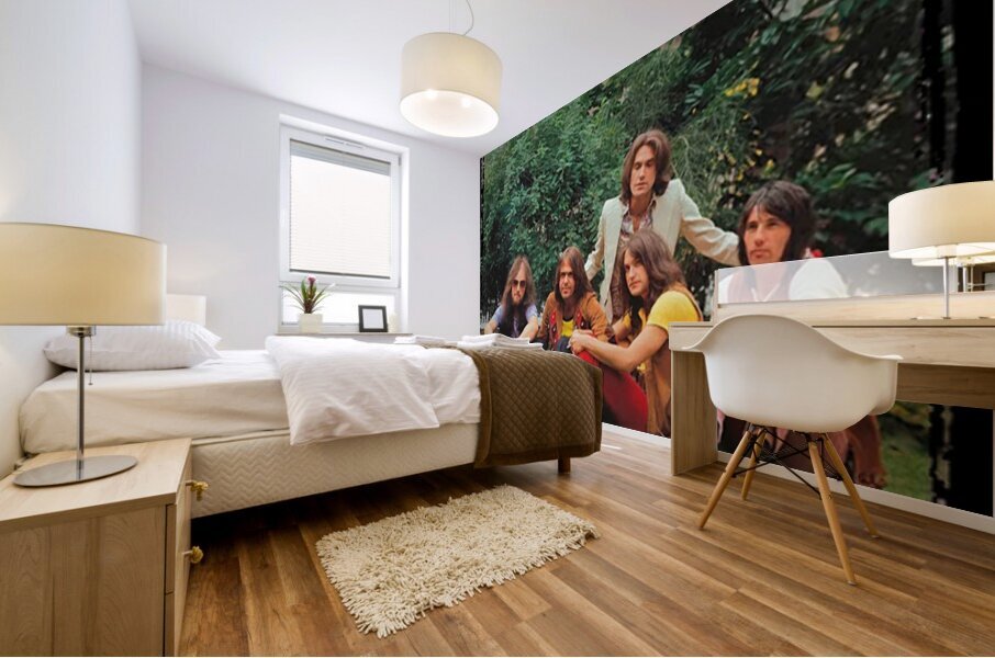 Kinks 32 Mural print