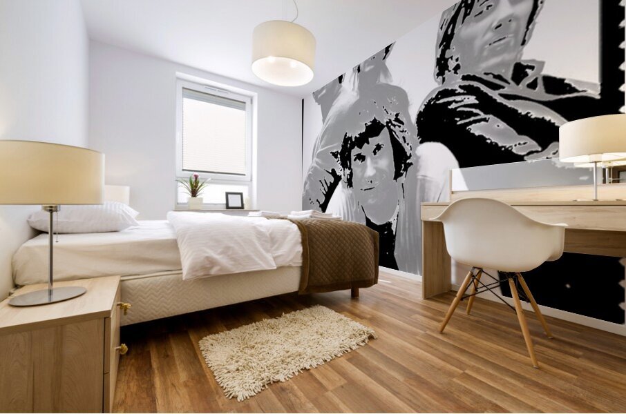 Kinks 27 Mural print