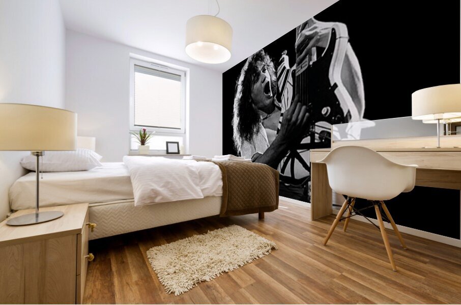 Van Halen 14 Mural print
