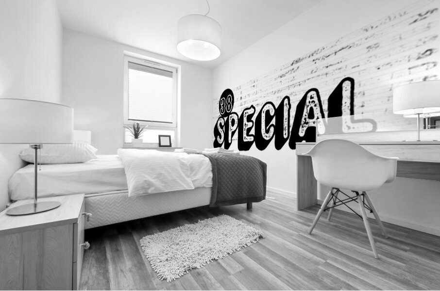 38 Special 15 Mural print