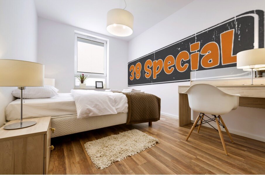 38 Special 36 Mural print