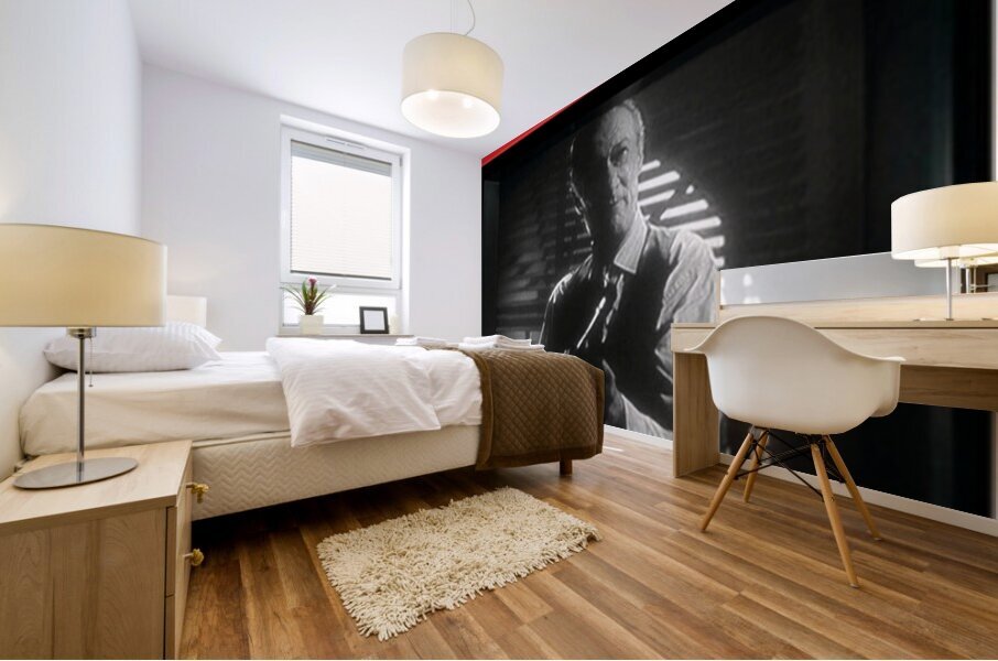 Home Alone 12 Mural print