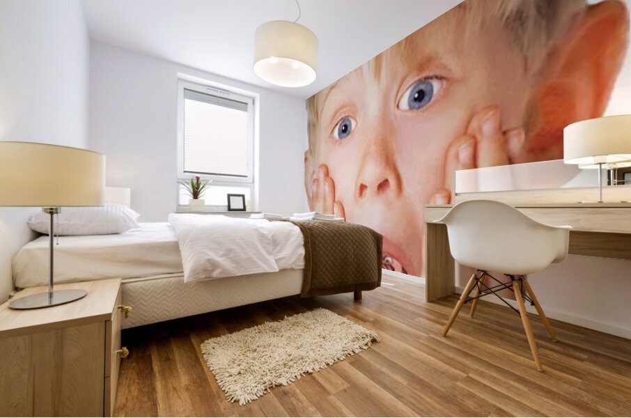 Home Alone 43 Mural print