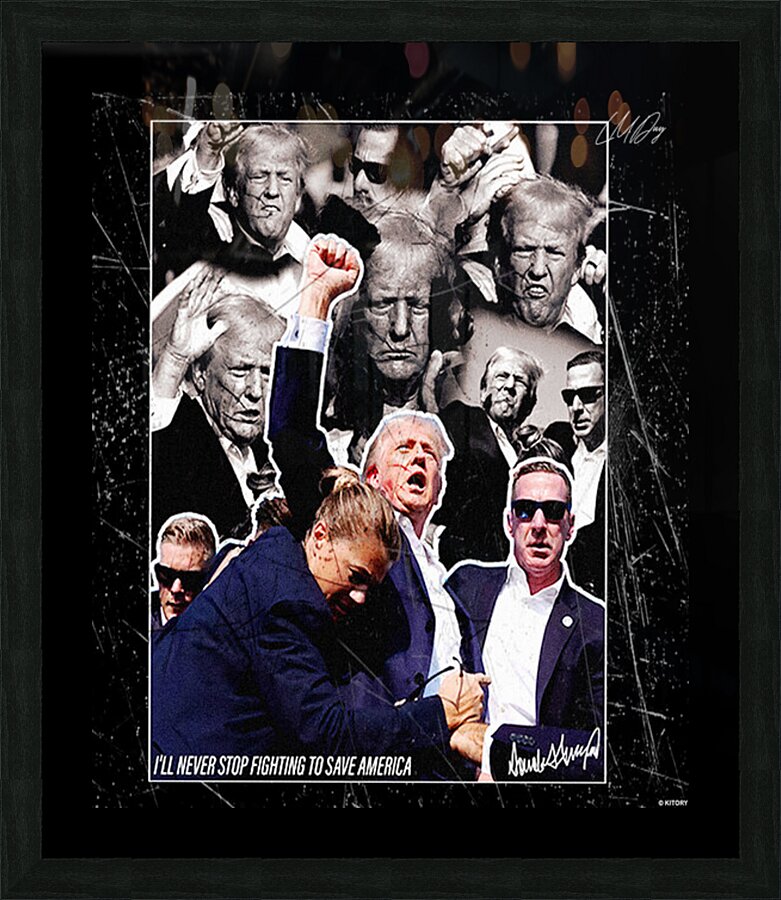 Art - Trump Picture Frame print