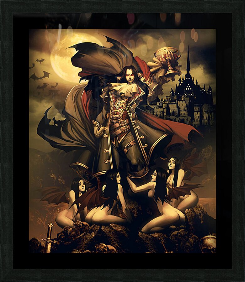 Castlevania 17 Picture Frame print