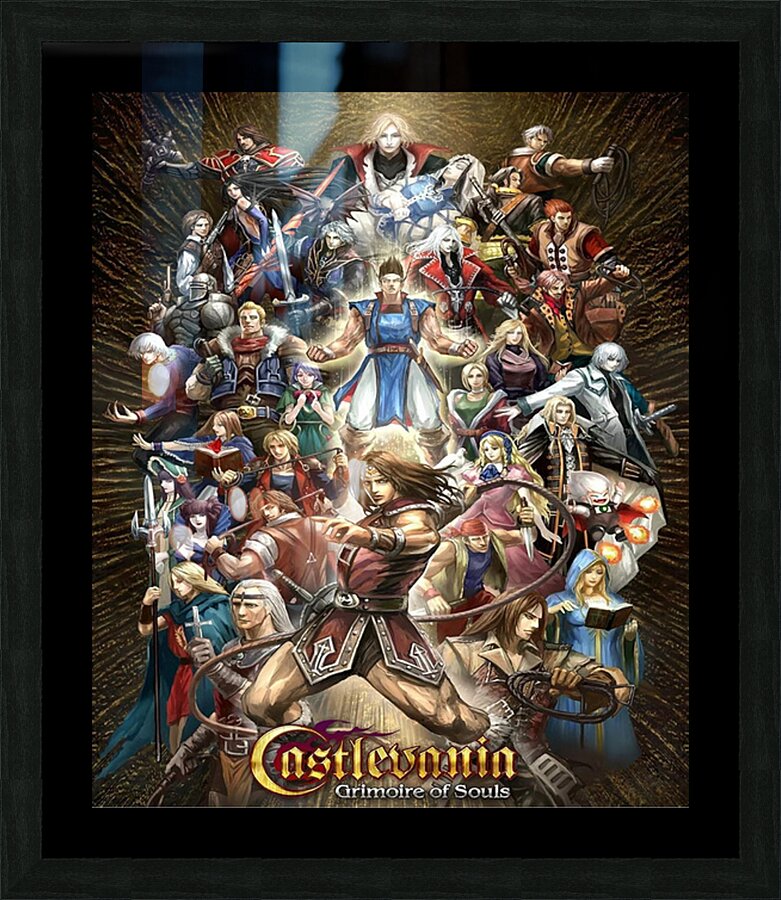 Castlevania 30 Picture Frame print