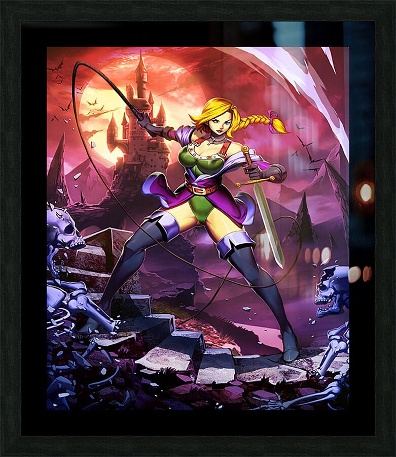 Castlevania 33 Picture Frame print