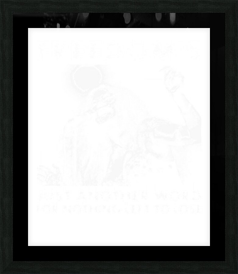 Janis Joplin 13 Picture Frame print