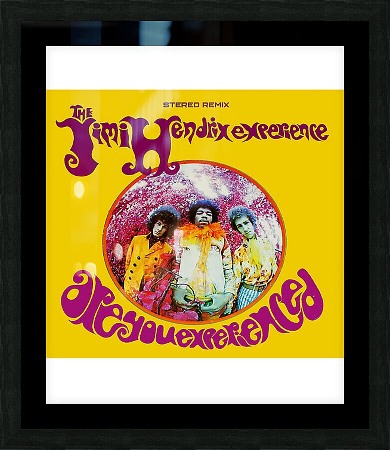 Jimi Hendrix 10 Picture Frame print
