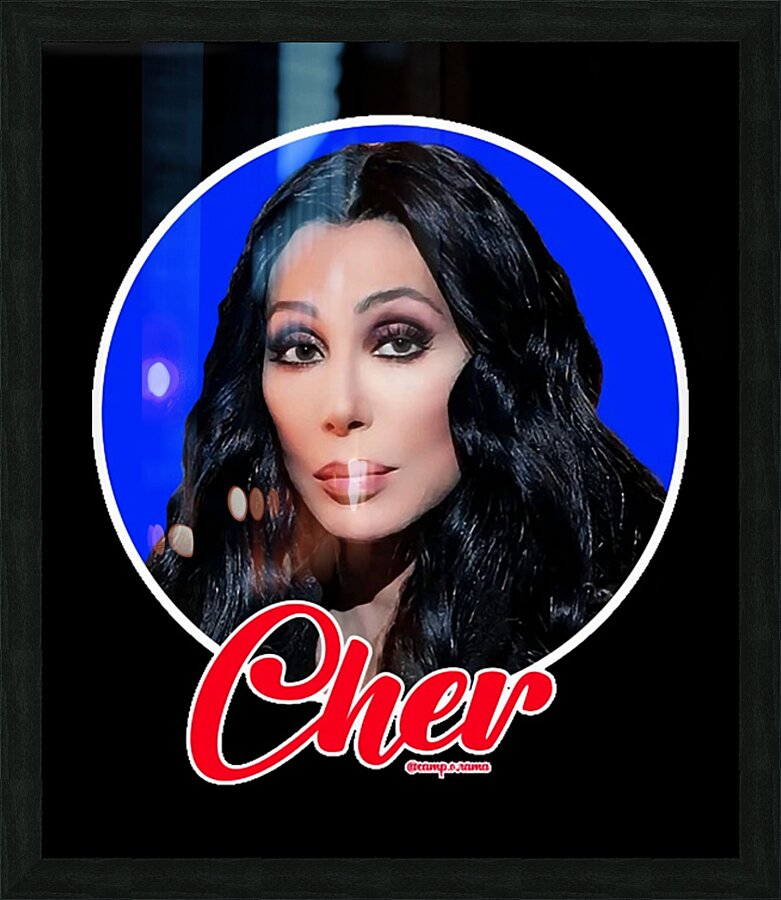 Cher 10 Picture Frame print