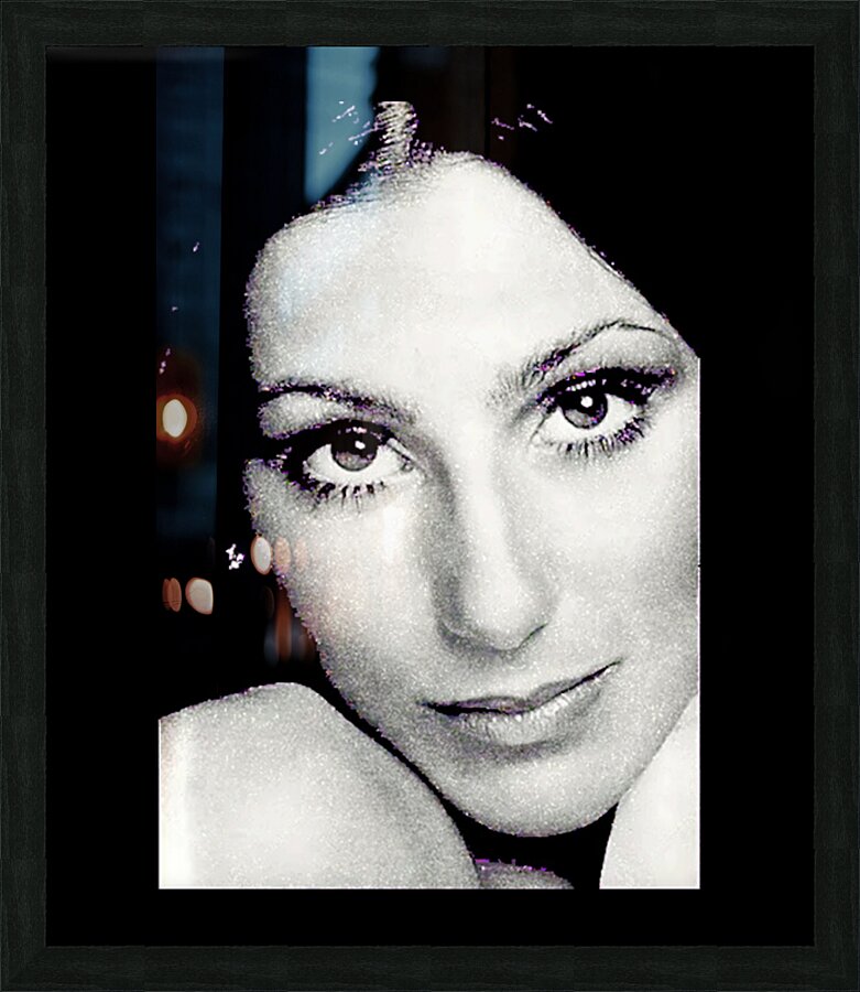 Cher 16 Picture Frame print